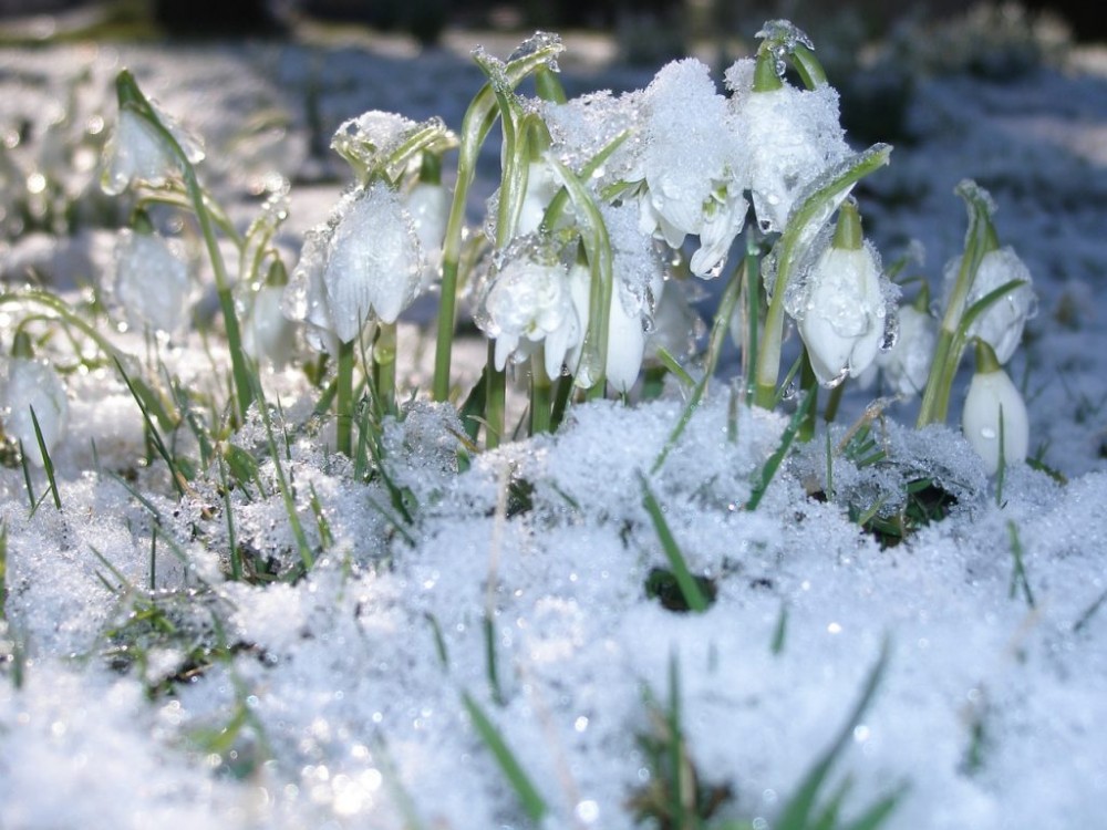 Iarna se întoarce. În săptămâna curentă, vremea se va răci până la minus 5 grade